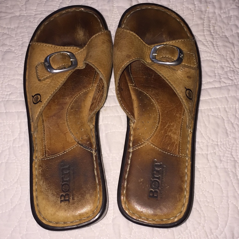 B.O.R.N Slides